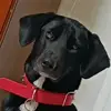 Emily Perla - @emily.perla8 - TikTok