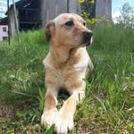 emily - @le_perle_di_emily_pipa_ - Instagram