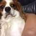 Emily Persinger - Facebook