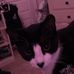 Emily Phan - Facebook
