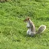 emilyphoenix831 - @emilyphoenix831 - TikTok