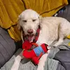 emily pilgrim - @emily.pilgrim4 - TikTok