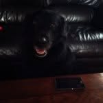 Emily Pilon - @bascketballgirl - Instagram