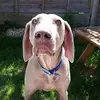 Emily Pine - @coentheweim - TikTok