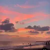 emily.pine44 - @emily.pine44 - TikTok