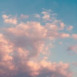 Emilyping - @emilyping2 - Instagram
