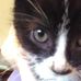Emily Pinson - Facebook