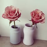Emily Pinter - @pintersemily - Instagram