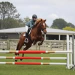 Emily Piper - @emily.and.her.ponies - Instagram