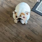 Emily Prone - Facebook