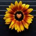 Emily Platt - Facebook