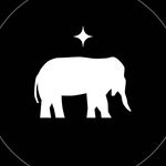Emily Platt Priebe - @shinyelephants - Instagram