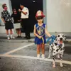 emilyplocha - @emilyplocha - TikTok