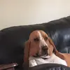 Emily_poff - @emily_poff - TikTok