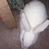 Emilyponce - @emilyponce79 - TikTok