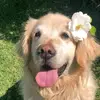 emilyrae - @emilyrae.jones - TikTok