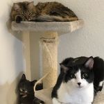 Emily - @emily_rehmer - Instagram