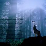 emily rhoades - @rhoades_wolves - Instagram