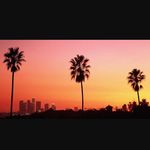 Emily Rieder Cali Trip - @emilyriedercali - Instagram