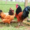 Emily Reidinger - @emily.reidinger - TikTok