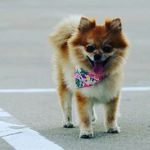 emily - @_emily_ring_ - Instagram
