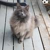 Emily Ring - @cute.unicorn522 - TikTok