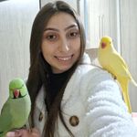 ❤Ring necks da Emily❤ - @ringnecksdaemily - Instagram