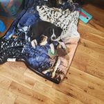 Emily Risner - @emily.risner - Instagram