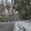 emily - @emily.ritch0 - TikTok
