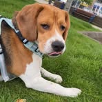 Emily Roach - Facebook