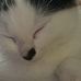 Emily Robey - Facebook