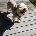 Emily Robey Sandstrom - @emilykay288 - Instagram