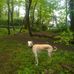 Emily Roden - Facebook
