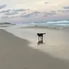Emily Rourke - @emilyrourke - TikTok