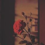 emily royal - @babyq_queen1010 - Instagram