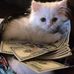 Emily Royal - Facebook