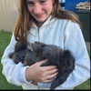 _emilyrye_ - @_emilyrye_ - TikTok