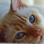 Emily Sample - @se643779 - Instagram