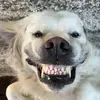 Emily Samples - @emilysampless - TikTok