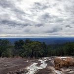 Emily Scheid - @emilyscheid711 - Instagram