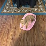 Emily Schillinger - @schillingeremily - Instagram
