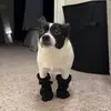 emily.schutt - @emily.schuttt - TikTok
