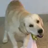 kerri.jarrod - @emily.schutt1 - TikTok