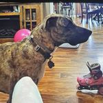 Emily Seabaugh - @emilyseabaugh661 - Instagram
