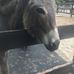 Emily Seiler - Facebook