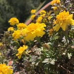 Emily Senter - @the_short_one17 - Instagram
