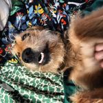 Emily Shadel - @_emilyshadel - Instagram