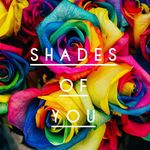 Shades of You - @emily_shadesofyou - Instagram