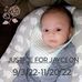Emily Shelley - Facebook