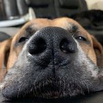 Emily Sheets - @emily.sheets05 - Instagram